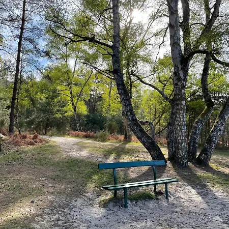 La Bastide De Couette-café Barbizon