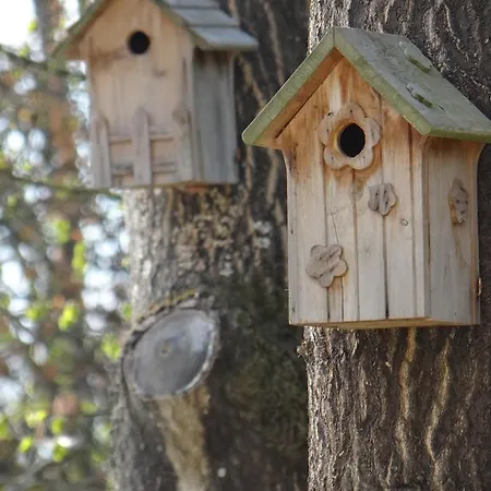 La Bastide De Couette-café Barbizon