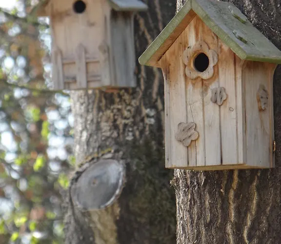 La Bastide De Alojamento de Acomodação e Pequeno-almoço Barbizon
